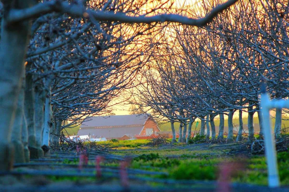 Wizyta domowa — 350 zł